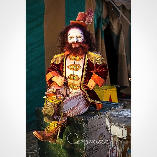 Bearded Lady
~Specialty~ Bearded Lady
~Specialty~